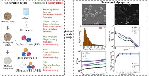 不同提取方式對(duì)青稞淀粉結(jié)構(gòu)的影響解析